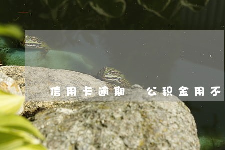 信用卡逾期 公积金用不了 信用卡逾期 公积金用不了